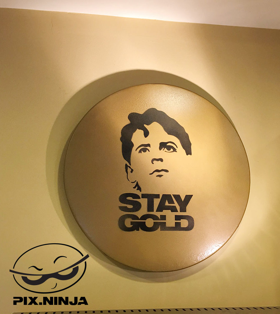 PixNinja Stay Gold Outsider Pony Boy Metal Mixed Media Stencil Spray Art